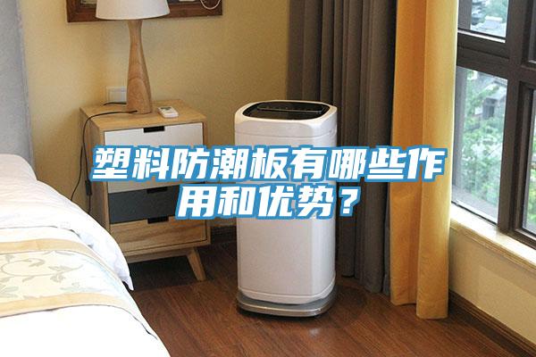 塑料防潮板有哪些作用和優(yōu)勢？