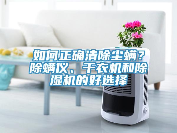 如何正確清除塵螨？除螨儀、干衣機(jī)和除濕機(jī)的好選擇
