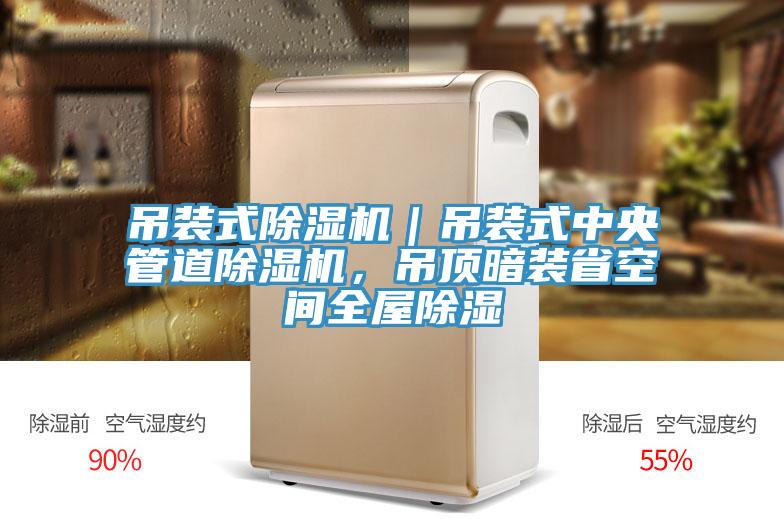 吊裝式除濕機｜吊裝式中央管道除濕機，吊頂暗裝省空間全屋除濕