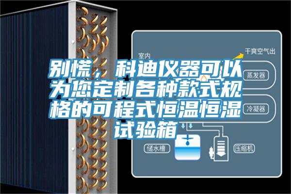 別慌，科迪儀器可以為您定制各種款式規(guī)格的可程式恒溫恒濕試驗(yàn)箱