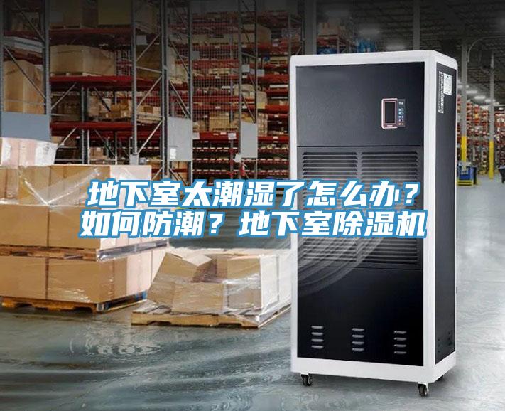 地下室太潮濕了怎么辦？如何防潮？地下室除濕機(jī)