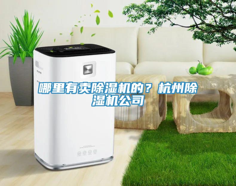 哪里有賣(mài)除濕機(jī)的？杭州除濕機(jī)公司