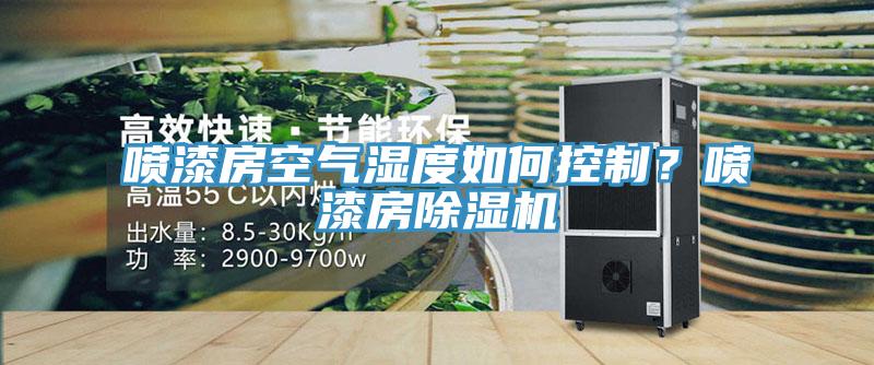 噴漆房空氣濕度如何控制？噴漆房除濕機(jī)
