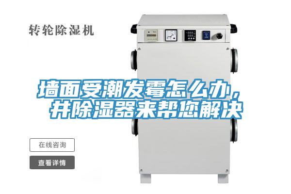 墻面受潮發(fā)霉怎么辦，東井除濕器來(lái)幫您解決