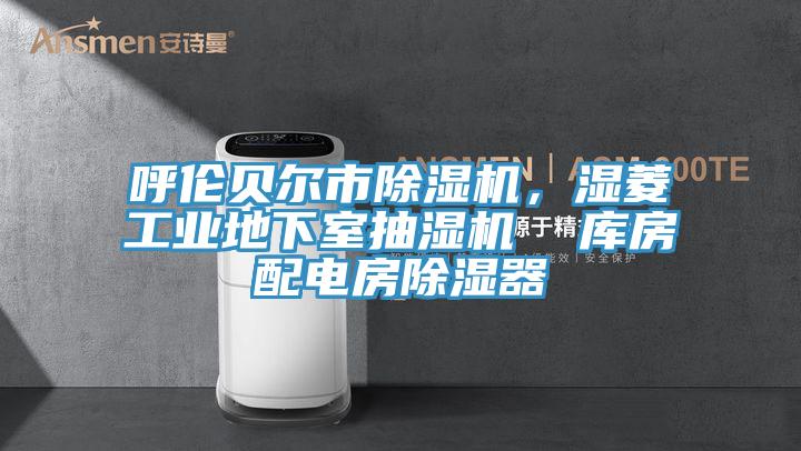 呼倫貝爾市除濕機(jī)，濕菱工業(yè)地下室抽濕機(jī)  庫房配電房除濕器