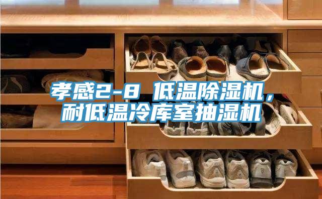 孝感2-8℃低溫除濕機(jī)，耐低溫冷庫(kù)室抽濕機(jī)