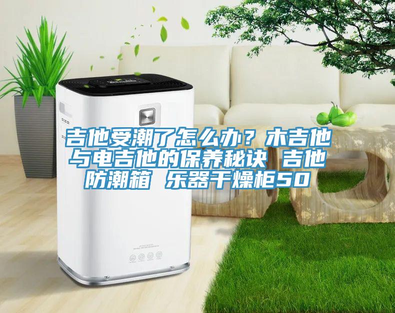 吉他受潮了怎么辦？木吉他與電吉他的保養(yǎng)秘訣 吉他防潮箱 樂器干燥柜50