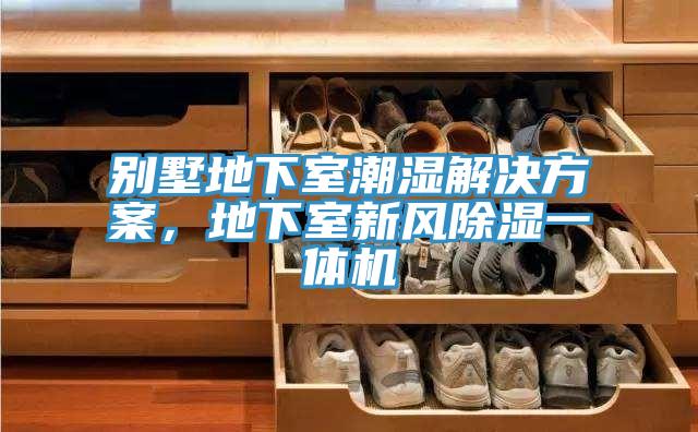 別墅地下室潮濕解決方案，地下室新風(fēng)除濕一體機(jī)