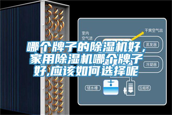 哪個(gè)牌子的除濕機(jī)好，家用除濕機(jī)哪個(gè)牌子好,應(yīng)該如何選擇呢