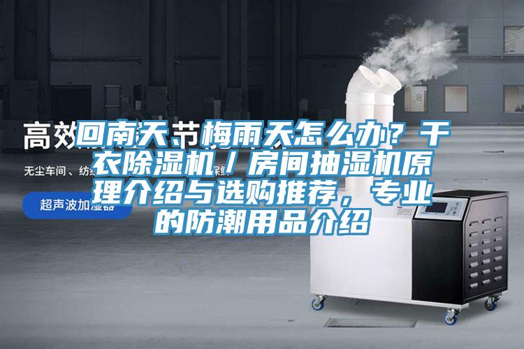 回南天、梅雨天怎么辦？干衣除濕機／房間抽濕機原理介紹與選購推薦，專業(yè)的防潮用品介紹