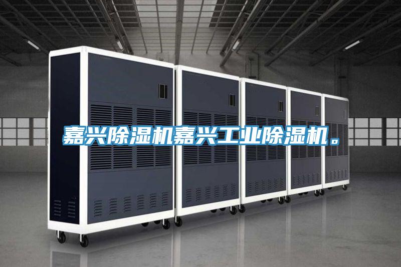 嘉興除濕機嘉興工業(yè)除濕機。