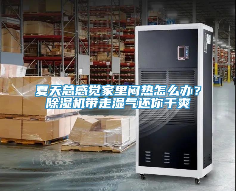 夏天總感覺(jué)家里悶熱怎么辦？除濕機(jī)帶走濕氣還你干爽