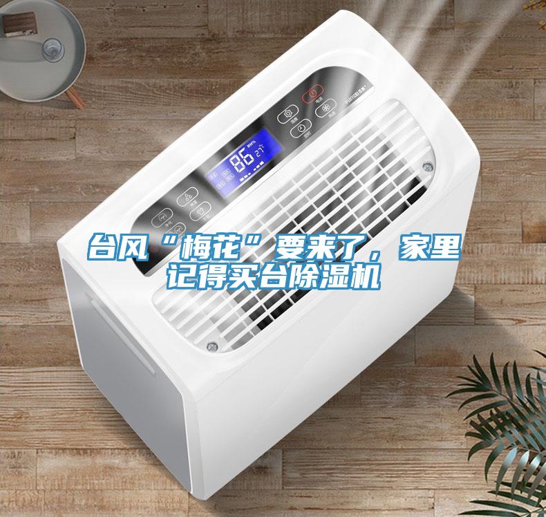臺(tái)風(fēng)“梅花”要來(lái)了，家里記得買(mǎi)臺(tái)除濕機(jī)