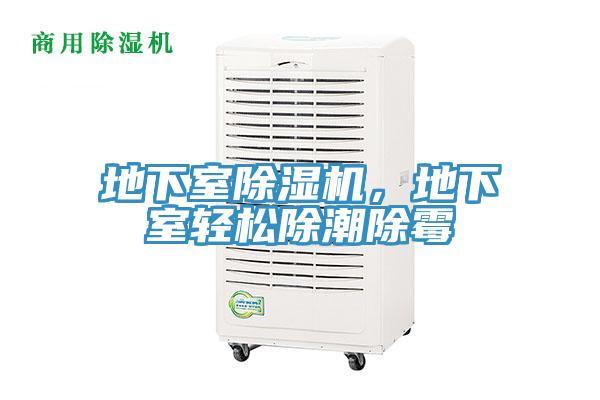 地下室除濕機(jī)，地下室輕松除潮除霉