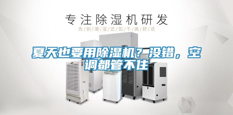 夏天也要用除濕機(jī)？沒(méi)錯(cuò)，空調(diào)都管不住