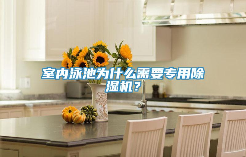 室內(nèi)泳池為什么需要專用除濕機(jī)？