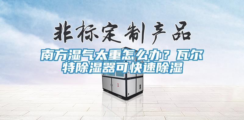 南方濕氣太重怎么辦？瓦爾特除濕器可快速除濕