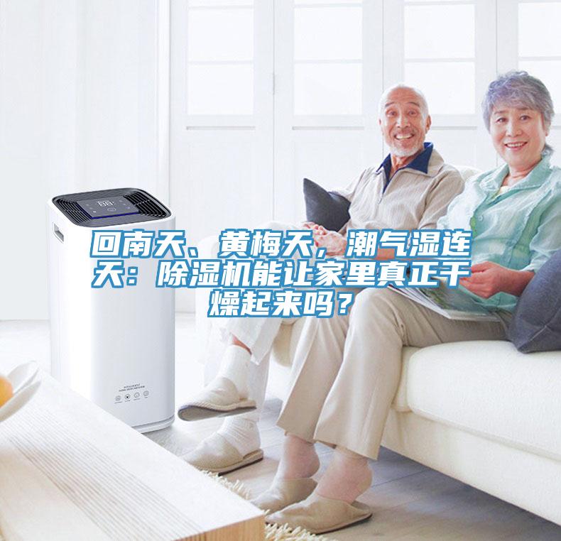 回南天、黃梅天，潮氣濕連天：除濕機能讓家里真正干燥起來嗎？