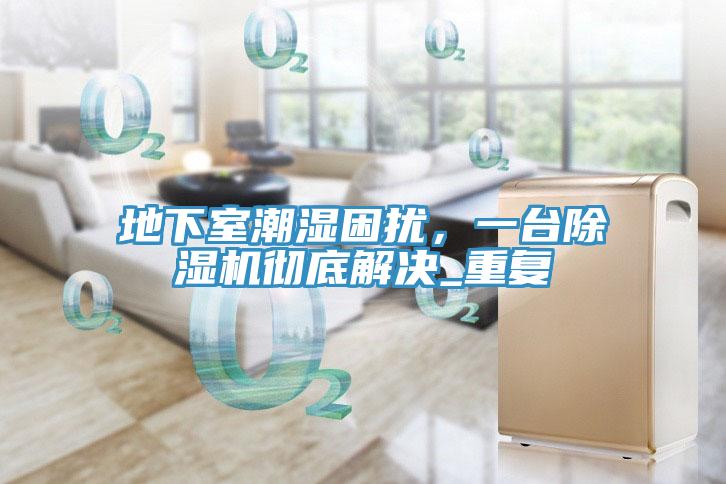 地下室潮濕困擾，一臺除濕機徹底解決_重復