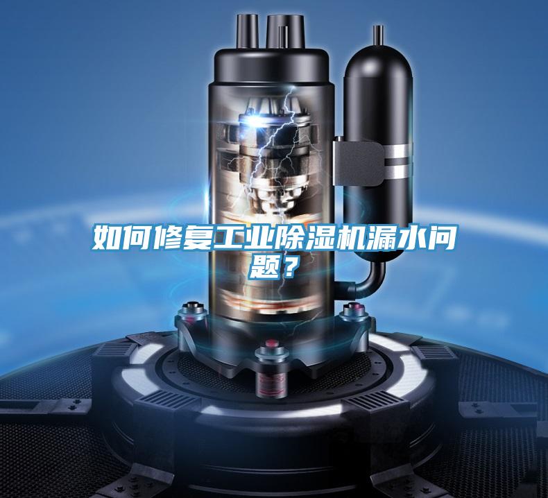 如何修復(fù)工業(yè)除濕機(jī)漏水問題？