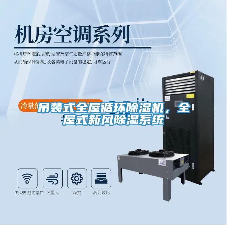 吊裝式全屋循環(huán)除濕機，全屋式新風(fēng)除濕系統(tǒng)