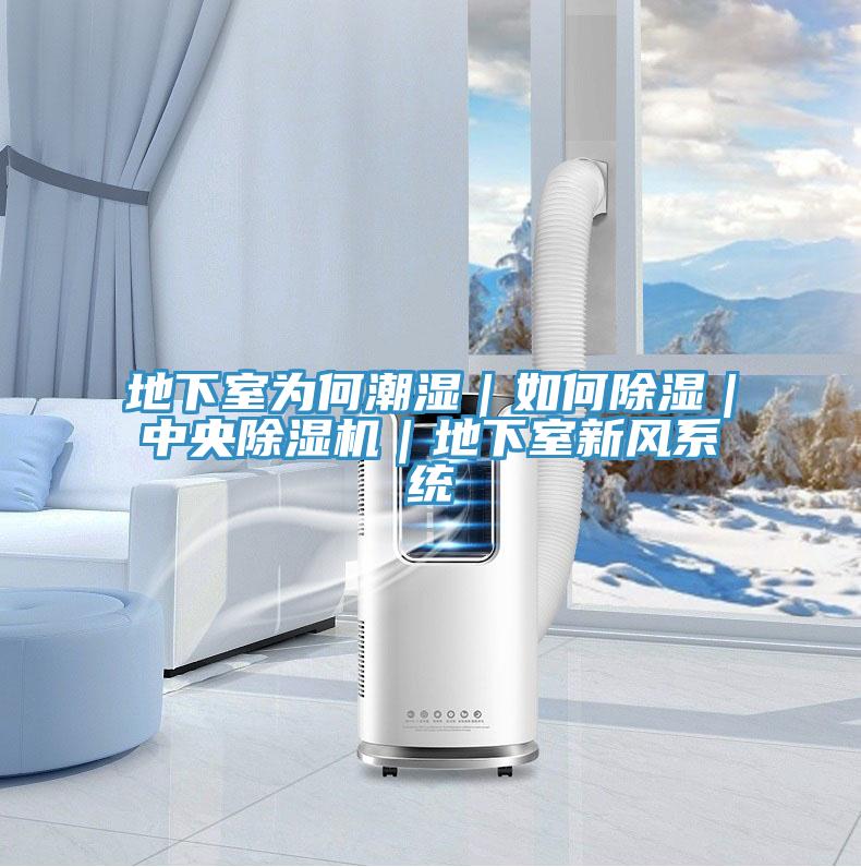 地下室為何潮濕｜如何除濕｜中央除濕機(jī)｜地下室新風(fēng)系統(tǒng)