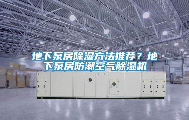 地下泵房除濕方法推薦？地下泵房防潮空氣除濕機(jī)