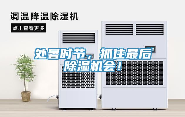 處暑時(shí)節(jié)，抓住最后除濕機(jī)會(huì)！