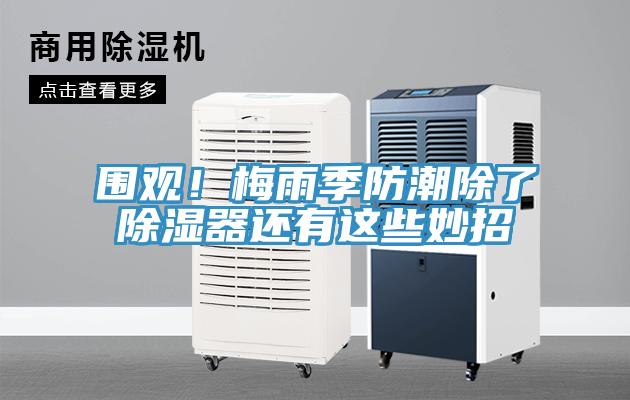 圍觀！梅雨季防潮除了除濕器還有這些妙招