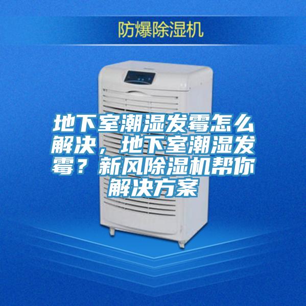 地下室潮濕發(fā)霉怎么解決，地下室潮濕發(fā)霉？新風(fēng)除濕機(jī)幫你解決方案