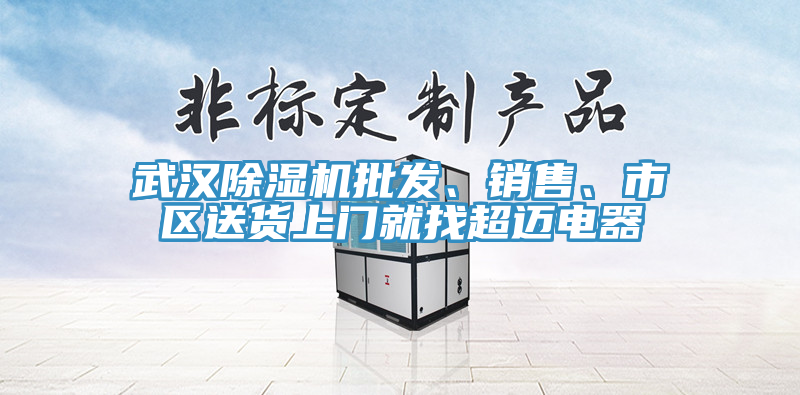 武漢除濕機批發(fā)、銷售、市區(qū)送貨上門就找超邁電器