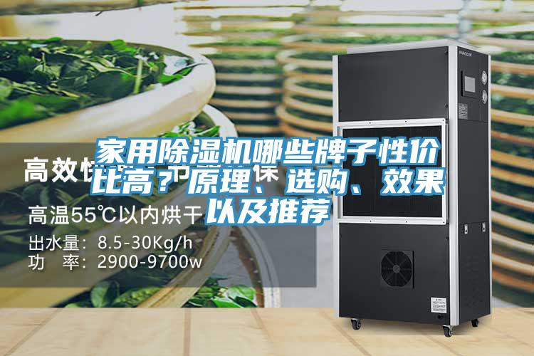 家用除濕機(jī)哪些牌子性價比高？原理、選購、效果以及推薦