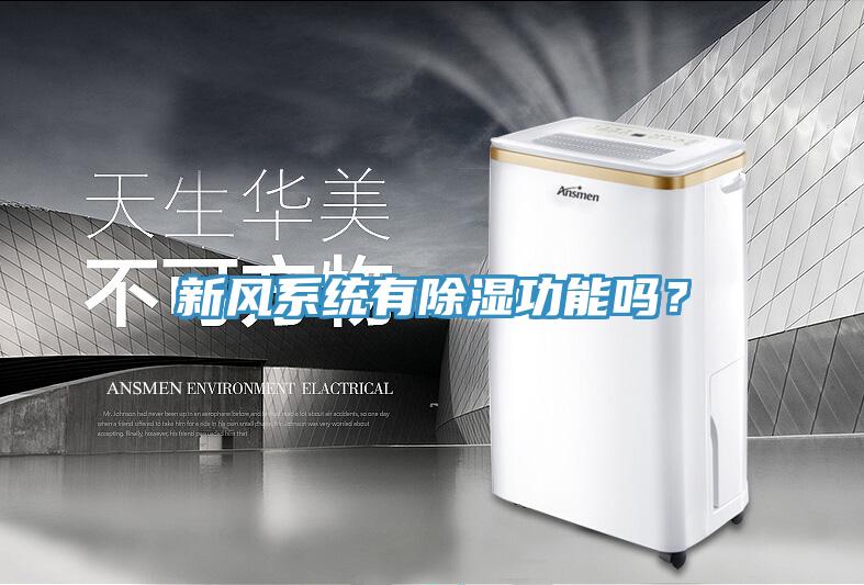 新風(fēng)系統(tǒng)有除濕功能嗎？