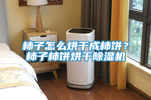 柿子怎么烘干成柿餅？柿子柿餅烘干除濕機(jī)