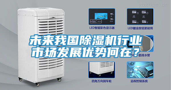 未來我國(guó)除濕機(jī)行業(yè)市場(chǎng)發(fā)展優(yōu)勢(shì)何在？
