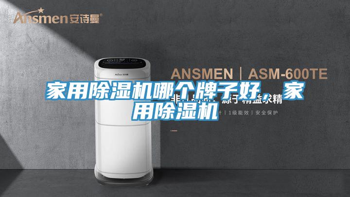 家用除濕機(jī)哪個牌子好，家用除濕機(jī)