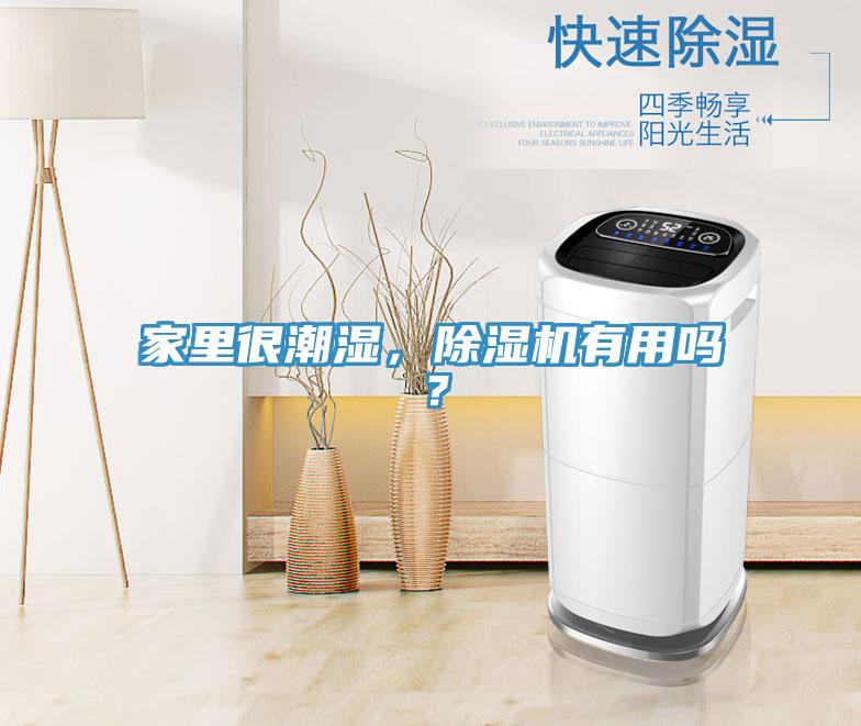 家里很潮濕，除濕機(jī)有用嗎？