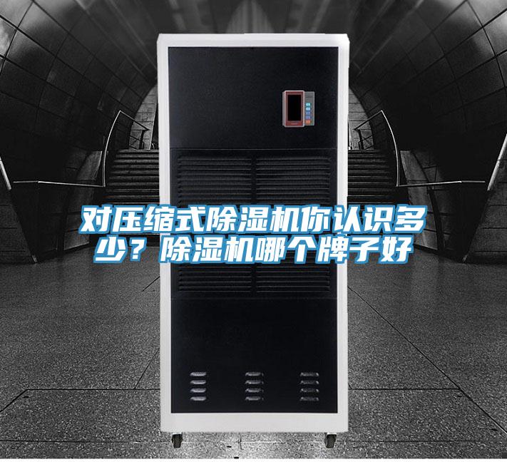 對(duì)壓縮式除濕機(jī)你認(rèn)識(shí)多少？除濕機(jī)哪個(gè)牌子好