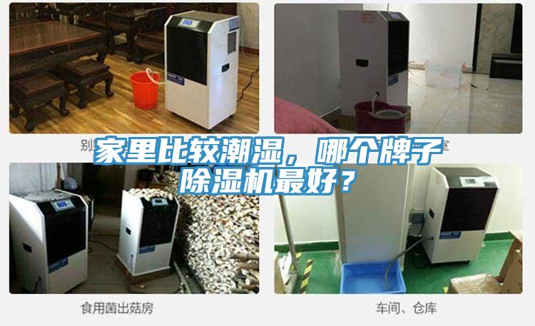 家里比較潮濕，哪個(gè)牌子除濕機(jī)最好？