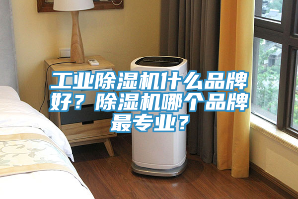 工業(yè)除濕機什么品牌好？除濕機哪個品牌最專業(yè)？