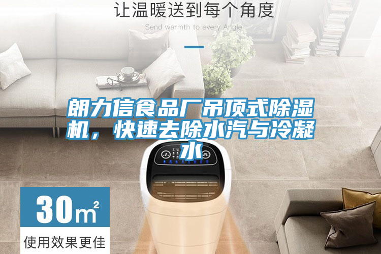 朗力信食品廠吊頂式除濕機，快速去除水汽與冷凝水