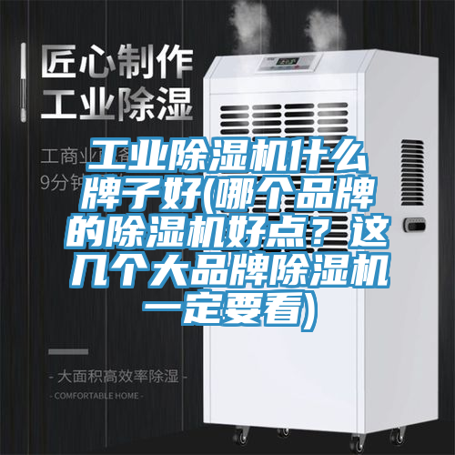 工業(yè)除濕機什么牌子好(哪個品牌的除濕機好點？這幾個大品牌除濕機一定要看)