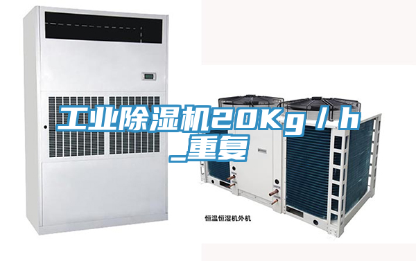 工業(yè)除濕機(jī)20Kg/h_重復(fù)