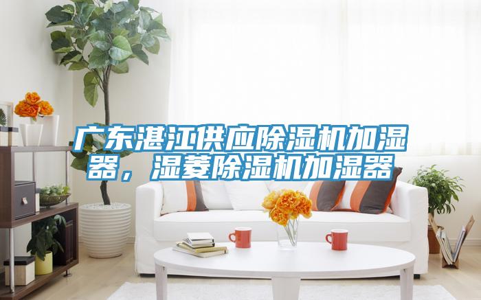 廣東湛江供應除濕機加濕器，濕菱除濕機加濕器