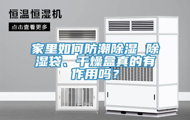家里如何防潮除濕 除濕袋、干燥盒真的有作用嗎？