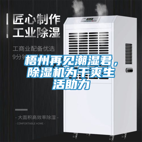 梧州再見潮濕君，除濕機(jī)為干爽生活助力