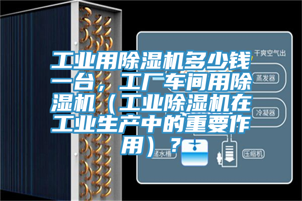 工業(yè)用除濕機多少錢一臺，工廠車間用除濕機（工業(yè)除濕機在工業(yè)生產(chǎn)中的重要作用）？