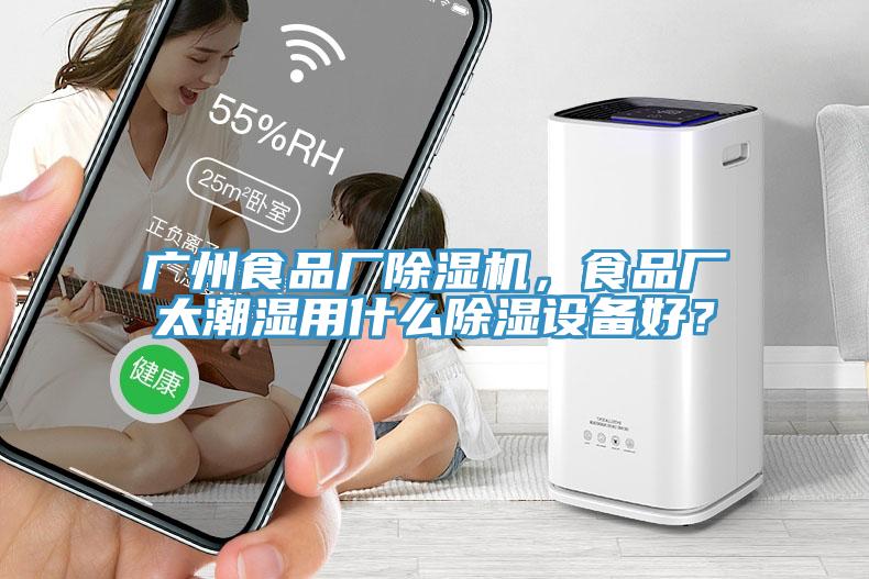 廣州食品廠除濕機(jī)，食品廠太潮濕用什么除濕設(shè)備好？