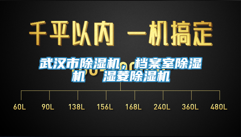 武漢市除濕機(jī)，檔案室除濕機(jī)  濕菱除濕機(jī)