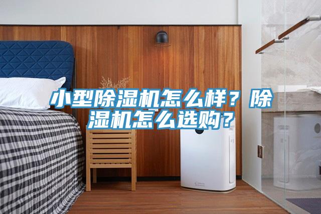 小型除濕機(jī)怎么樣？除濕機(jī)怎么選購？